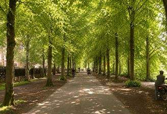 Promenade