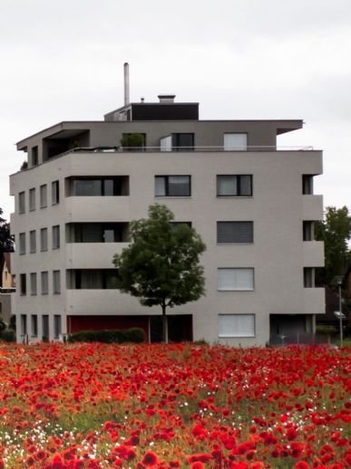 Wertige, Neu-Renovierte 3-Zimmerwohnung in Gau Algesheim