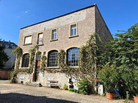 Kitzingen Bauernhöfe, Landwirtschaft, Kitzingen Forstwirtschaft