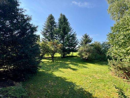 Ausschnitt vom Garten