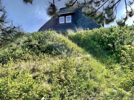 Blick vom eingewachsenen Sitzplatz