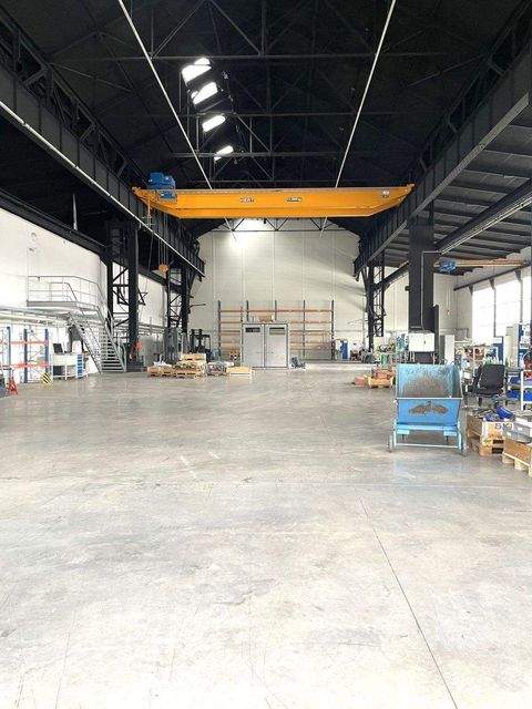 Sankt Ingbert Halle, Sankt Ingbert Hallenfläche