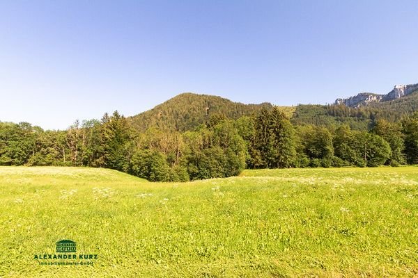 Bauernhof im Chiemgau Immobilien-Kurz-Salzburg