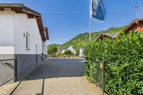 Kesten Halle, Kesten Hallenfläche