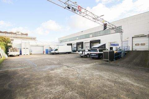 Erkrath Halle, Erkrath Hallenfläche