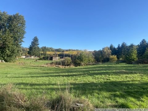 Niederau Grundstücke, Niederau Grundstück kaufen