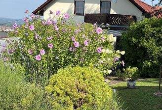 Blick von Terrasse /Gartenhaus