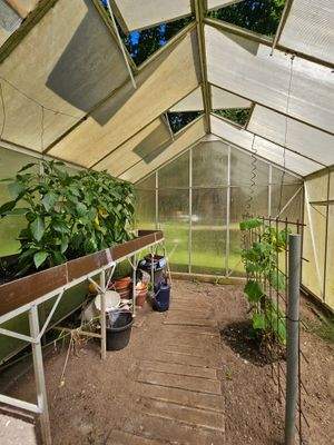 Gewächshaus inklusive