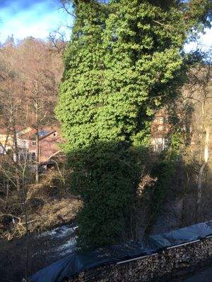 IMG_8953 - Kopie.JPG