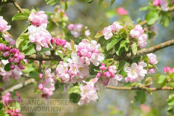 Bringen Sie das Anwesen zum Blühen