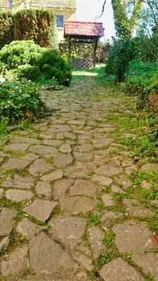 Zugang zum Garten