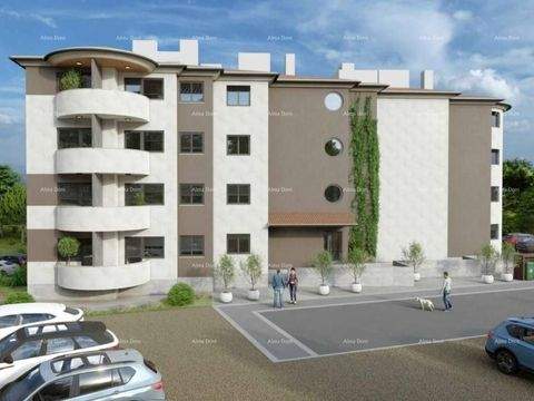 Center Wohnungen, Center Wohnung kaufen