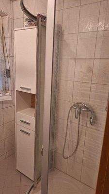 Nochm. Bad im EG mit Dusche u. Fenster.jpg