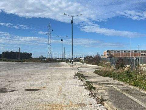 Dugo Selo Bauernhöfe, Landwirtschaft, Dugo Selo Forstwirtschaft