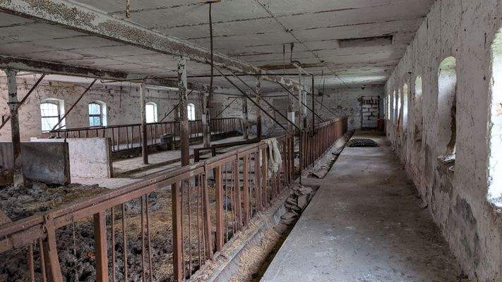 Innenansicht 2 Stall.jpg