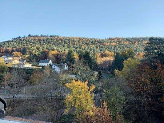 Ausblick aus dem Dachfenster
