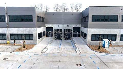 Essen Halle, Essen Hallenfläche