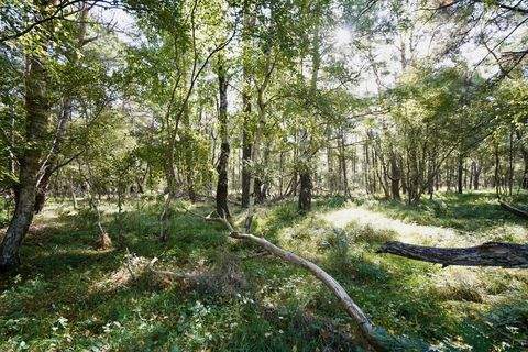 Brockel Bauernhöfe, Landwirtschaft, Brockel Forstwirtschaft