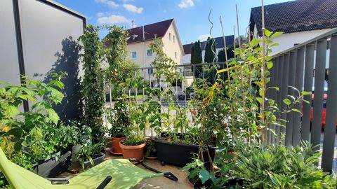 Parsberg Wohnungen, Parsberg Wohnung mieten