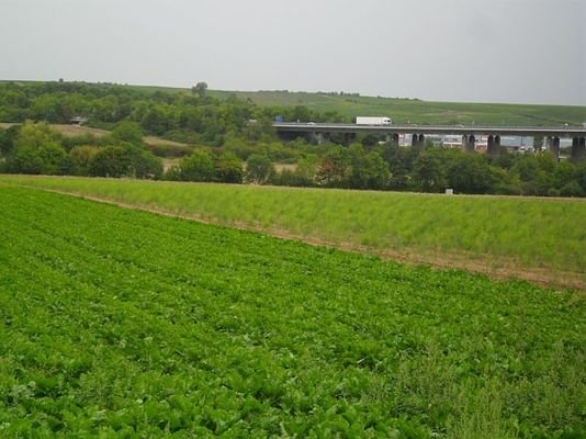 Grundstück und im Hintergrund die A 61