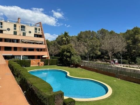 Sa Coma - Cala Millor Wohnungen, Sa Coma - Cala Millor Wohnung kaufen