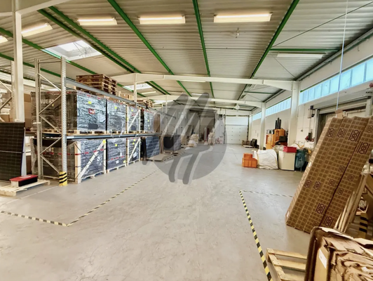 INFOS UNTER: 06171-586000