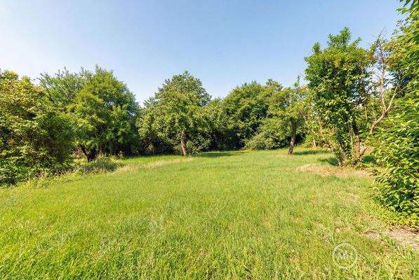 Hier wird Ihr neues Haus entstehen