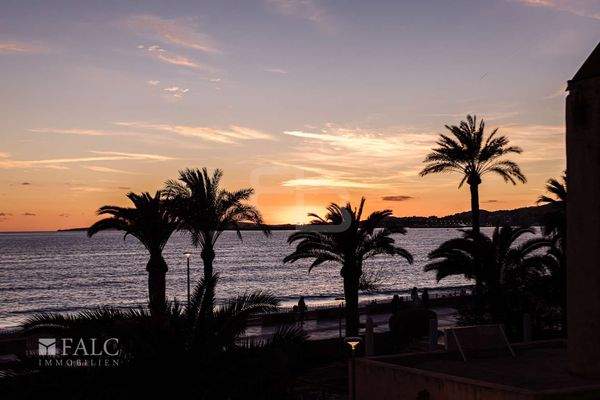 Viewea Viev Portixol