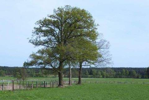 Jesteburg Grundstücke, Jesteburg Grundstück kaufen
