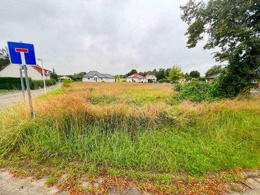 Ansicht von vorne links