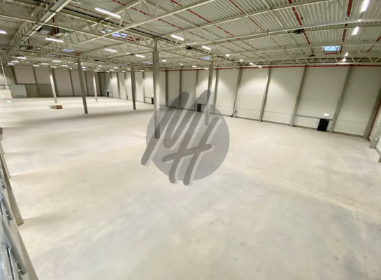 INFOS UNTER: 06171-586000