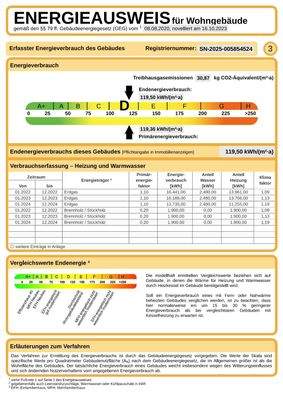 Auszug_Energieausweis-1