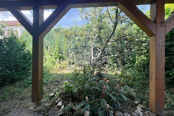 Apfelbaum neben dem Carport