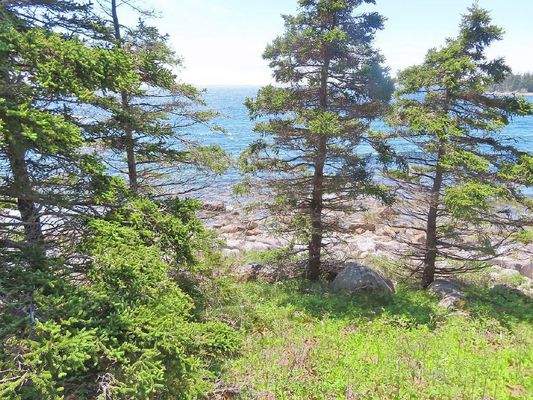 Nova Scotia - Grover?s Point - Wunderschönes Uferg