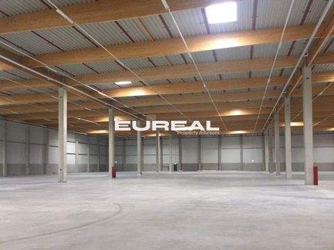 Mülheim an der Ruhr Halle, Mülheim an der Ruhr Hallenfläche