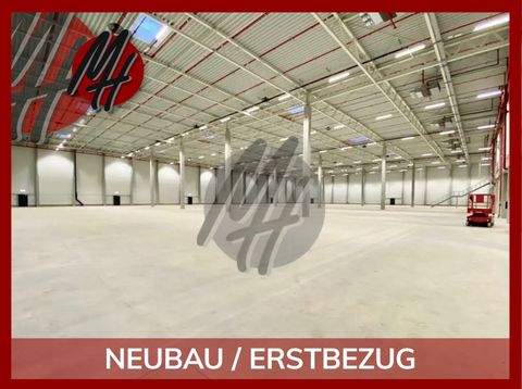 Ibbenbüren Halle, Ibbenbüren Hallenfläche