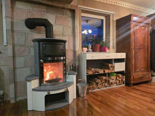 Speckstein-Kaminofen im Wohnzimmer EG Hinterhaus