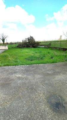 WhatsApp Image 2024-03-14 at 12.28.24.jpeg