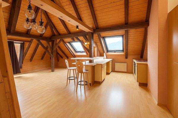 Dachstudio Ansicht 1