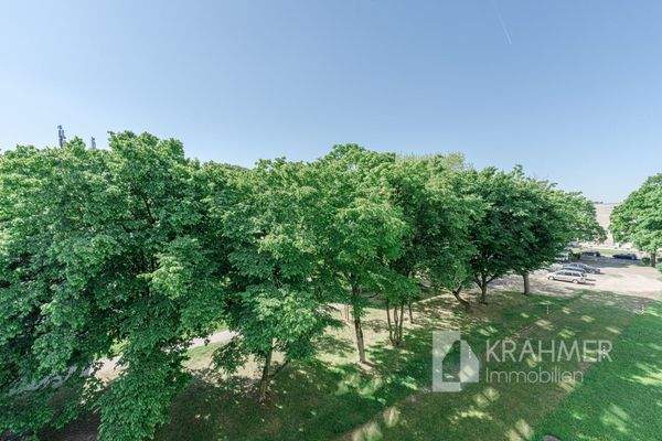 Blick von der Loggia ins Grüne