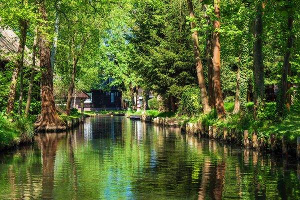 Spree und Spreewald in der Nähe
