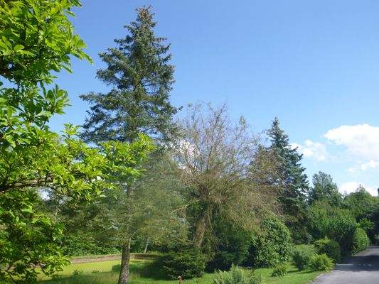 Zuwegung zum Grundstück