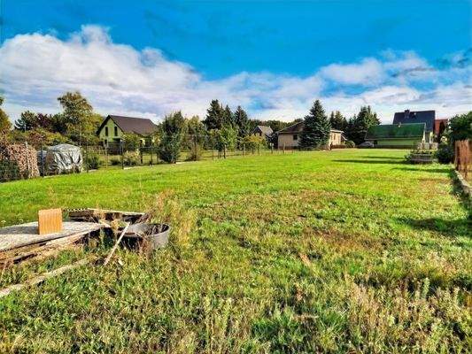 Großzügiger Garten