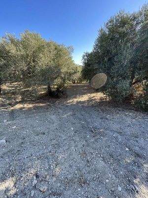 Kreta, Episkopi: Grundstück mit Meerblick, nahe dem Strand zu verkaufen