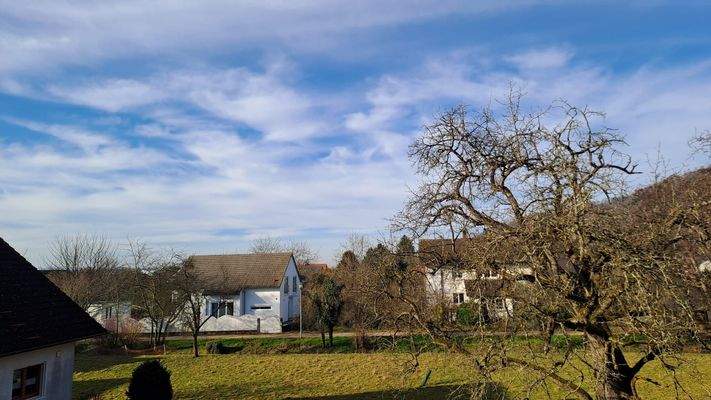 WhatsApp Image 2025-12-18 at 12.18.21 (3)