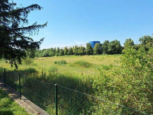 angrenzend viel Grün