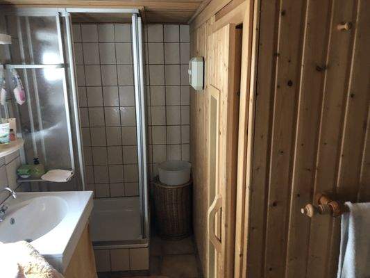 Sauna mit Dusche im Keller
