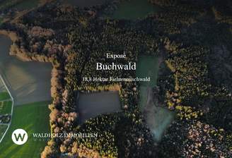 Screenshot 2025-12-19 110015.png