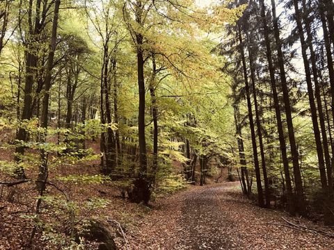 Stemwede Bauernhöfe, Landwirtschaft, Stemwede Forstwirtschaft