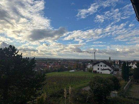 Blick in die Rheinebene.jpg